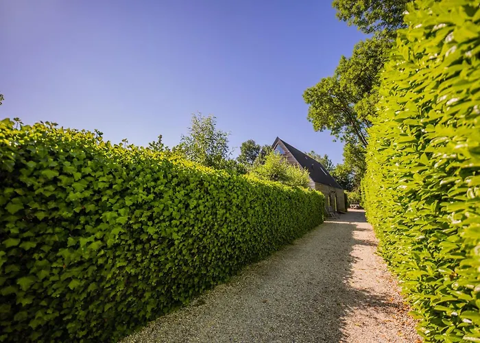 Superb 90m2 With Garden - Ks8a Appartamento Eindhoven